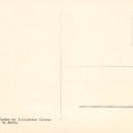 Zoo Berlin Watussi-Rind ngl 196.615