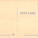 USA Kühe auf Weide ngl 196.735