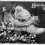 USA Best Easter Wishes gl1913 196.837