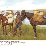 Canada Mining Prospectors with pack horses ngl 196.895