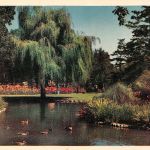 Canada Victoria Beacon Hill Park ngl 196.910
