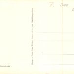 Stuttgart Partie am Wilhelmsbau 1951 ngl 196.912