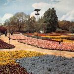 Stuttgart Bundesgartenschau 1961 Blumenteppich ngl 196.927