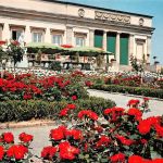 Stuttgart Bundesgartenschau 1977 Rosengarten ngl 196.928
