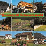 Besenfeld Schwarzwald Mehrbildkarte gl 196.972
