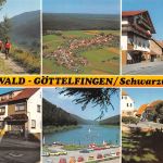 Seewald-Göttelfingen Schwarzwald Mehrbildkarte gl 196.973