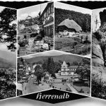 Bad Herrenalb Mehrbildkarte gl 197.052