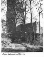 Liebeneck Ruine im Würmtal ngl 197.057
