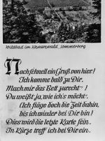 Wildbad im Schwarzwald Sommerberg mit Spruch gl1960 197.063