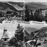 Todtmoos Mehrbildkarte gl1967 197.191