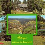 Ühlingen Mehrbildkarte gl1980 197.202