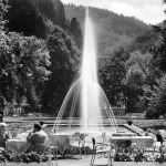 Bad Münster a. Stein Kurgartenpartie gl1963 197.297