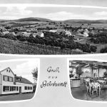Steinhardt Gasthaus "Steinhardter Hof" Panorama gl1967 197.350