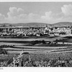 Sprendlingen (Rheinhessen) Panorama gl1962 197.357