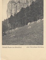 Schloss Prunn bei Riedenburg im Altmühltal gl193? E7368