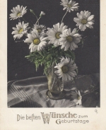 Geburtstag-Wünsche mit Margeriten gl1935 E7427