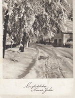 Neujahr-Grüße mit Winterwald gl1953 E7439