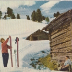 Weihnachten-u.Neujahr-Wünsche von Ski-Winter ngl E7512