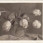 Vase mit Tulpen gl1941 E7877