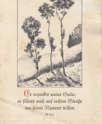 Religion: Erquicket meine Seele ... Ps. 23,3 gl1930 E8157