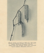 Religion: Laß doch on Seiner Werke Pracht ... gl1931 E8158