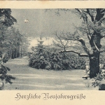 Neujahr-Wünsche aus Winterwald gl1931 E8201
