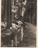 Altenau Oberharz , am Dammgraben ngl E8515