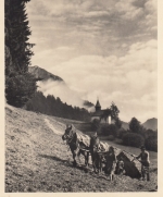 Landwirtschaft im Bergland ngl E8787