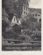 Kloster Hirsau, Schwarzwald, Schlossruine mit Ulme ngl E9305