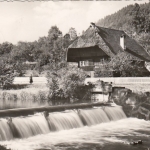 Altes Schwarzwaldhaus am Wehr gl1964 E9829