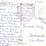 Arber-Schutzhaus a.d.gr.Arber im Bayer.Wald gl1960 E9834