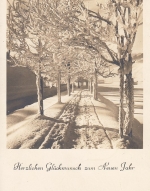 Herzliche Neujahr-Wünsche gl1946 F0320