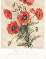 Geburtstag-Wünsche mit Mohnblumen gl1951 F0331