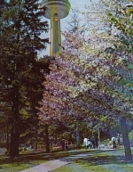 Skylon, Skylon Park, Niagara Falls, Canada gl1956 F0479