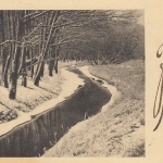 Frohe Neujahr-Wünsche mit Bach am Waldrand gl1931? F0505