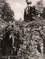 Höllental, Schwarzwald, Hirschsprung ngl F0632