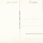 Les Avants, Dents du Midi et champs de Narcises ngl F0865