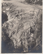 Glacier du Rhone ngl F1715