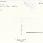 Ziegenbock, Walliser Schwarzhals-Rasse ngl F1895