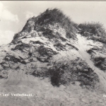 Klitter ved Versterhavet ngl F1905