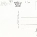 Insel Mainau im Bodensee, Frühlingsallee, Tulpenblüte ngl F2101