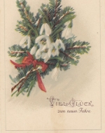 Neujahr-Wünsche mit Tannenzweig, Schneeglöckchen ngl F2340