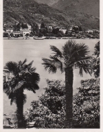 Locarno, Lago Maggiore, Panorama ngl F2351