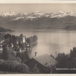 Oberhofen und die Berner Alpenkette ngl F2759