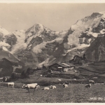 Blick auf die Jungfraugruppe ngl F2761