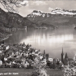 Weggis und die Alpen ngl F2811
