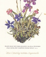 Geburtstag-Wünsche mit Blumen gl1962 F3172