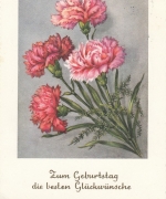 Geburtstag-Wünsche mit Blumen gl1963 F3177