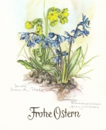 Ostern-Wünsche mit Blumen ngl F3179