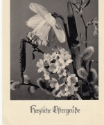 Ostern-Wünsche mit Blumen und Kätzchen glum 1950? F3180